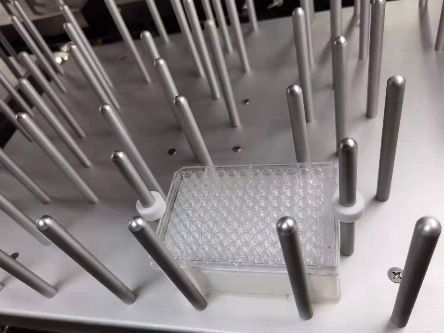 High Speed CO2 Incubator Shaker